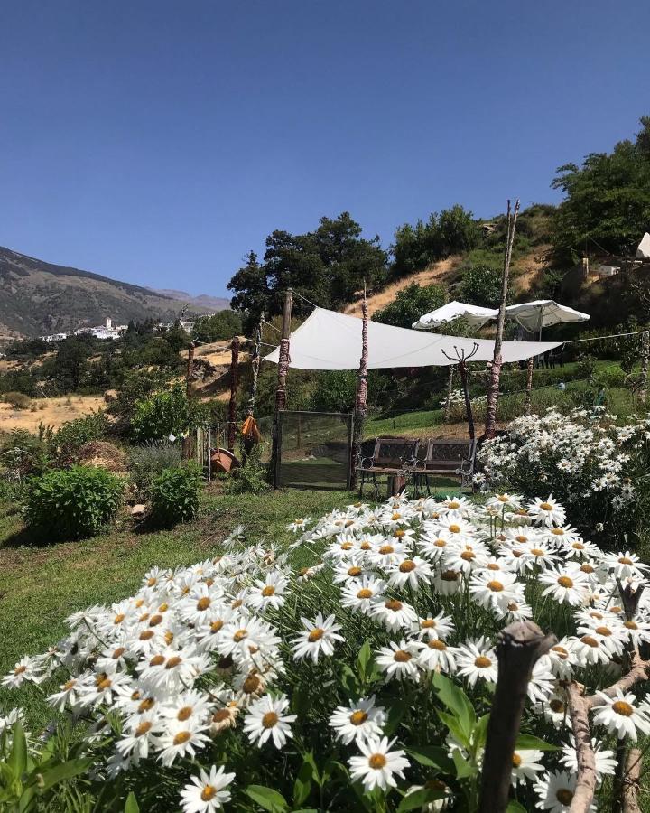 "Casa Ibero" Bubion, Alojamiento Turistico Rural Exterior foto
