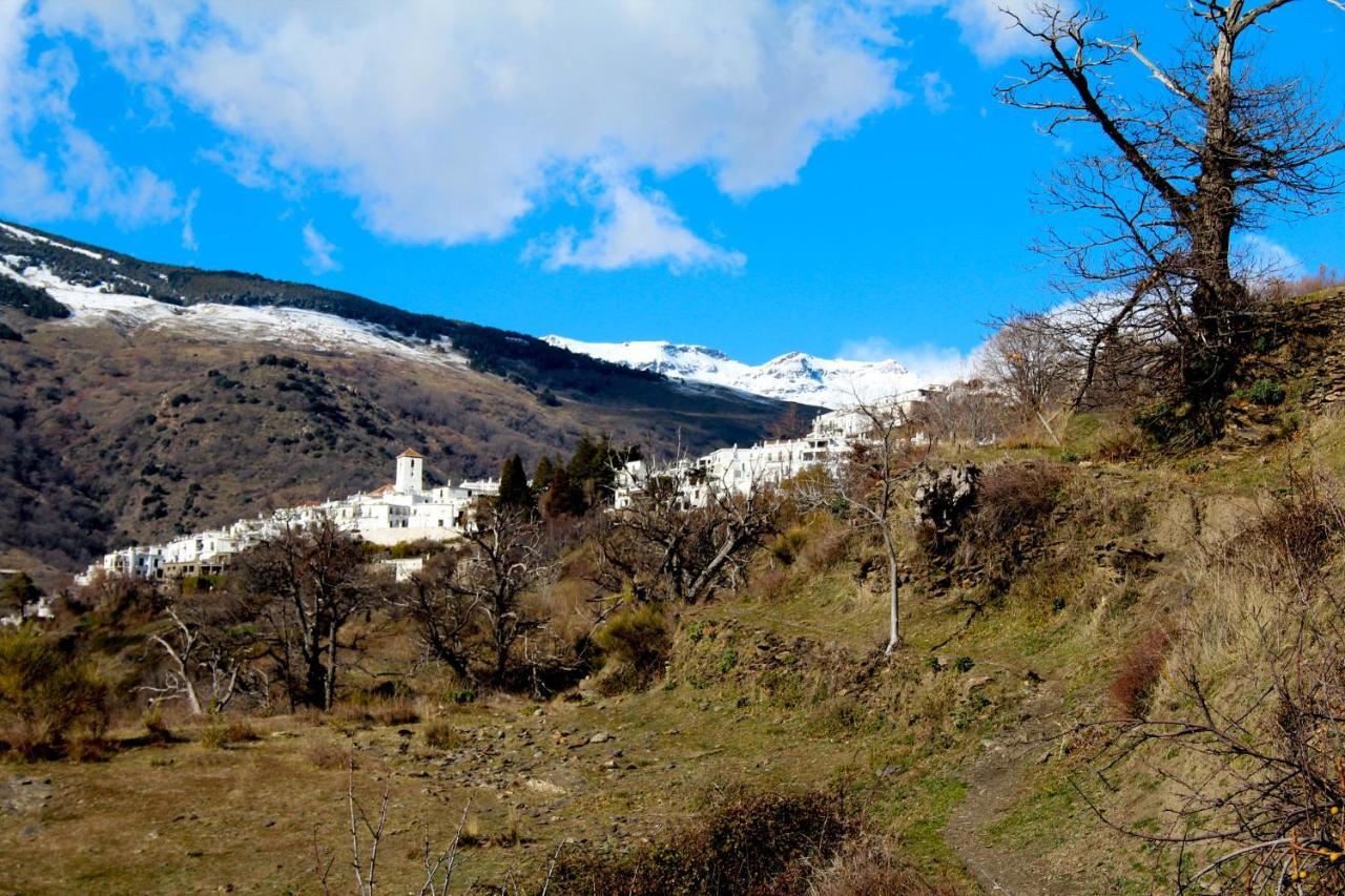 "Casa Ibero" Bubion, Alojamiento Turistico Rural Exterior foto